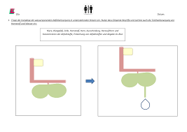 Ab Niere Unterrichtsmaterial Im Fach Biologie In 2020 Unterrichtsmaterial Biologie Niere