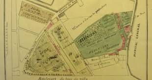 La Renaissance Du Jardin Des Plantes De Montpellier Passe Present Montpellier Plante Jardin Jardins