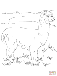 Alpaca Coloring Pages Free Coloring Pages Coloring Book Art Coloring Pages Alpaca Drawing