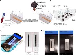 Virus Detection Using Nanoparticles And Deep Neural Network Enabled Smartphone System Science Advances