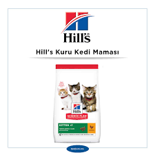 en iyi kuru kedi mamasi markalari 2021 tavsiye fiyat