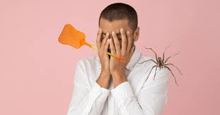 science says you shouldn t kill spiders