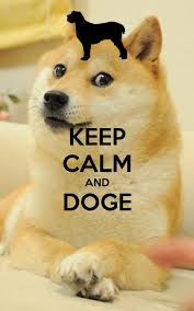 This rule has been expanded to cover 'forced' doge posts that feature the original 'doge' image, but have been modified in such a way that does not relate to the doge meme. Doge Meme Wallpapers Wallpaper Cave