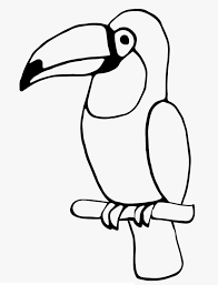 Top 20 bird coloring pages for preschoolers: Normal Toucan Bird Coloring Page Free Printable Coloring Pages For Kids