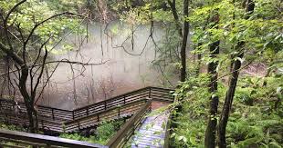 Check spelling or type a new query. The 7 Best Waterfall Hikes In Florida To See A Ghost