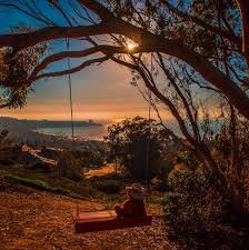 Many of the famed secret swings in la jolla have been torn down, but they always seem to reappear out of the blue at scenic locations. Secret Swings Of La Jolla Home Facebook