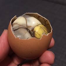 There is a small village in pateros, manila, where all residents have learned how to make egg balut. Balut Introducing The Weird And Wonderful Snack Do You Dare Street Food Guy