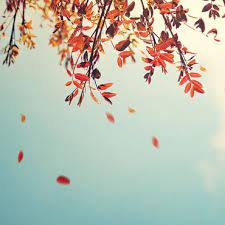 Derniers avis de décès et avis d'obsèques disponibles par ville et département. Avis De Deces Deux Sevres 79 Toutes Les Obseques En Ligne Ouest France