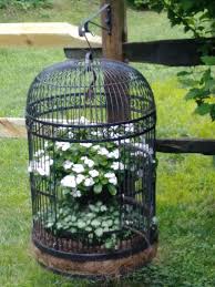 Large Bird Cage For Sale Craigslist I Found An Antique Cast Iron Parrot Cage On Craigslist For 50 Turned It Into A Planter Garden Yard Ideas Container Flowers Outdoor Decor