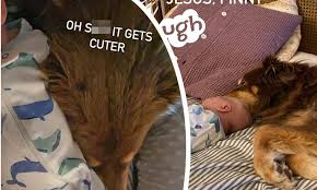 Amanda Seyfried Shares Heartwarming Snaps Of New Baby Boy Relaxing In Bed With Dog Finn Daily Mail Online