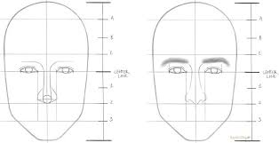 Since then, i've watched the entire 10 hours of the v itruvian studio drawing. Learn How To Draw A Face In 8 Easy Steps Beginners Rapidfireart