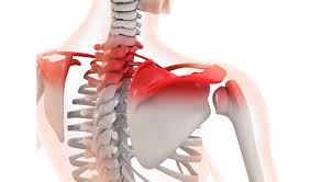 ãè©ãã  ç¡æç»åãã®ç»åæ¤ç´¢çµæ