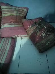 Tidak lama aku tidur mungkin dalam setengah jam selepas itu pintu bilikku dibuka. Rudy Kapuk On Twitter