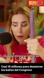 Desatoramiento de baños en el Congreso: ¡15 millones de soles en  refacciones!