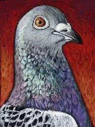 Original Bird Painting In Oil Pastels Of A Racing Pigeon 9 X12 Not A Print Birds Painting Oil Pastel Paintings Oil Pastel