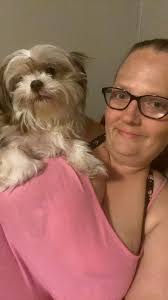 Lost Dog in Oklahoma City, OK