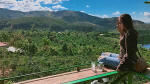 Đà lạt, mê linh coffee garden được nhiều khách du lịch yêu thích và tìm đến không chỉ mang hương vị cà phê chồn đúng chất mà còn sở hữu tầm nhìn có một. Me Linh Coffee Garden Ä'a Láº¡t