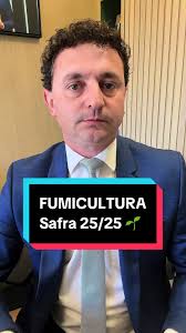 Fumicultura Brasil: Safra 25/25 e Produtores Unidos