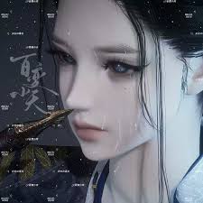 阿天【冷眸】燕云十六声捏脸数据女捏脸刀客剑客枪客拳师医仙