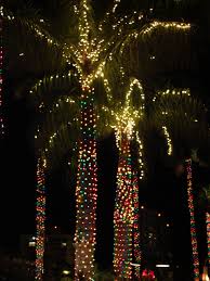 See Even Palm Trees Can Look Christmassy With Pretty Lights Christmas Palm Tree Exterior Christmas Lights Outdoor Christmas Decorations