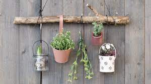 Diy Hang Plants On Your Walls Diy Plant Hanger Diy Garden Projects Plant Hanger