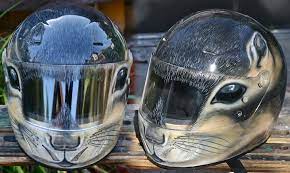 Squirrel Helmet Airbrush Helmet Motorcycle Helmet Design Helmet Design
