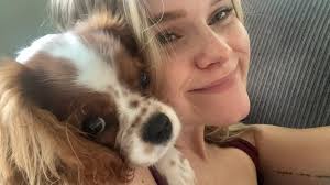 Everyone meet Bella! My sweet little 6 month old Cavalier. She's full of  spunk and has made life so much sweeter!! 💗🎉