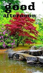 Find gifs with the latest and newest hashtags! Good Afternoon Images And Gif For Android Apk Download