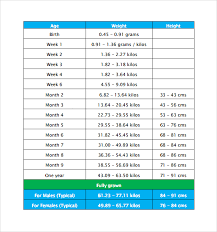 labrador growth chart goldenacresdogs com