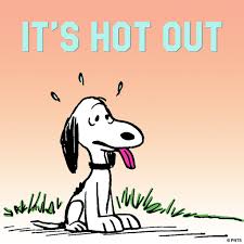 We did not find results for: Peanuts On Twitter It S Hot Out