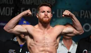 The scoring of the canelo alvarez versus triple g fight is one in a series of controversial scorecards by judge adalaide byrd. Saul Alvarez Net Worth Celebrity Net Worth