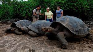 10 Returning Extinct Animals That Are Still Alive Youtube