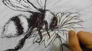Chamomile bud and bee pollination hand drawn ink vector. Timelapse Drawing Bee Flower Youtube