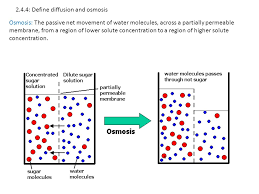 Free learning resources for students covering all major areas of biology. Diffusion Definition Biology