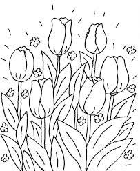 Tags blumen coloring einmachglas frühlings frühlingsblumen malvorlagen pages spring. Ausmalbild Blumen Leuchtende Blumen Kostenlos Ausdrucken Vorlagen Blumen Basteln Malvorlagen Blumen Blumen Ausmalen