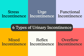 Image result for Functional Incontinence