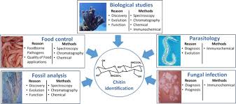 Legii nr.153/2017, anexa ii, cap.ii. Progress In Chitin Analytics Sciencedirect