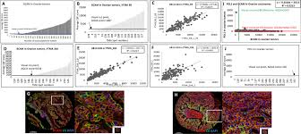 Image result for bCAM