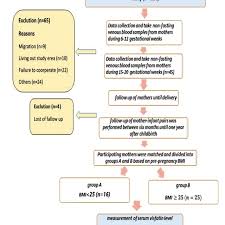 Flow Chart Of The Cohort Bmi Body Mass Index Download
