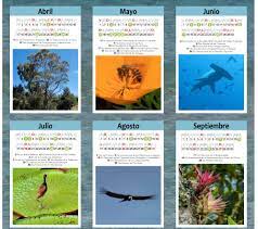 El día del medio ambiente se celebra el 5 de junio de 2021. Las Fechas Mas Importantes Para El Medio Ambiente En 2020