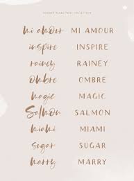 A Creative Market Shop Brush Script Brush Script Fonts Palm Brush