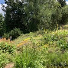 Auf der wiese vor der anlage findet ein naturmarkt statt. Botanischer Garten Schellerhau Alterswerk Com