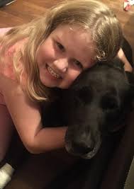 Odie and Callie (Romeo and Juliet) makes us smile daily. Today a large box  became a tunnel, a small box became a chew toy and a busy day of play tired  these