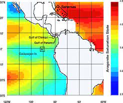 A special mahalo to pam weiant, john parks and kim hum of. Poorly Cemented Coral Reefs Of The Eastern Tropical Pacific Possible Insights Into Reef Development In A High Co2 World Pnas