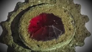 The Curse of Oak Island Season 10 Episode 8: The team is moving closer to  finding 'fabled treasure' | Entertainment