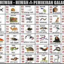100 Gambar Hewan Fajar Pakong Hd Gambar Pixabay
