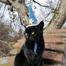 Https Www Etsy Com Listing 906590774 Wizard Hat Cat Hat Hats For Cats Pet Ref Shop Home Active 4 Cat Hat Pets Cats Cats