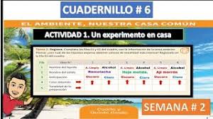 Coloca la cantidad al lado del símbolo de moneda y asegúrate de incluir los enteros y los centavos. Mnmlafzpqeeofm