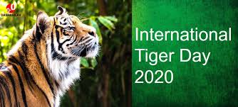 Hope you have the happiest of days. International Tiger Day Significance Objectives Quotes And Slogans