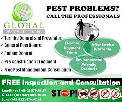 You can see exactly when they arrive in the bait. Gps Global Pest Solutions Home Facebook